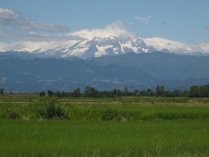 Vercelli, campagna e Monte Rosa