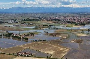 Campagna vercellese e Monte Rosa all'orizzonte